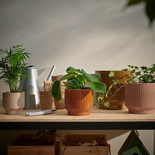 HONUNGSPALM plant pot