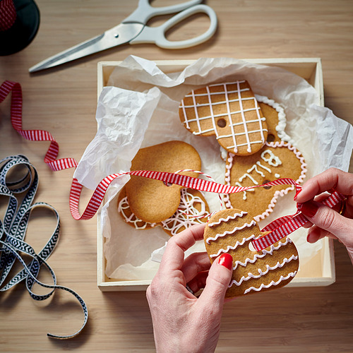 VINTERSAGA gingerbread hearts