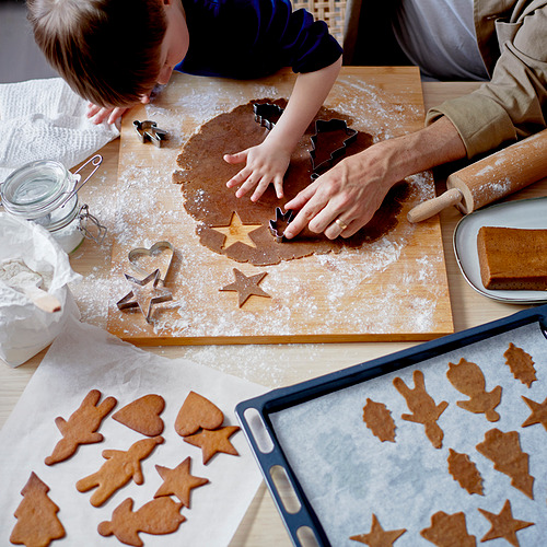 VINTERSAGA gingerbread dough