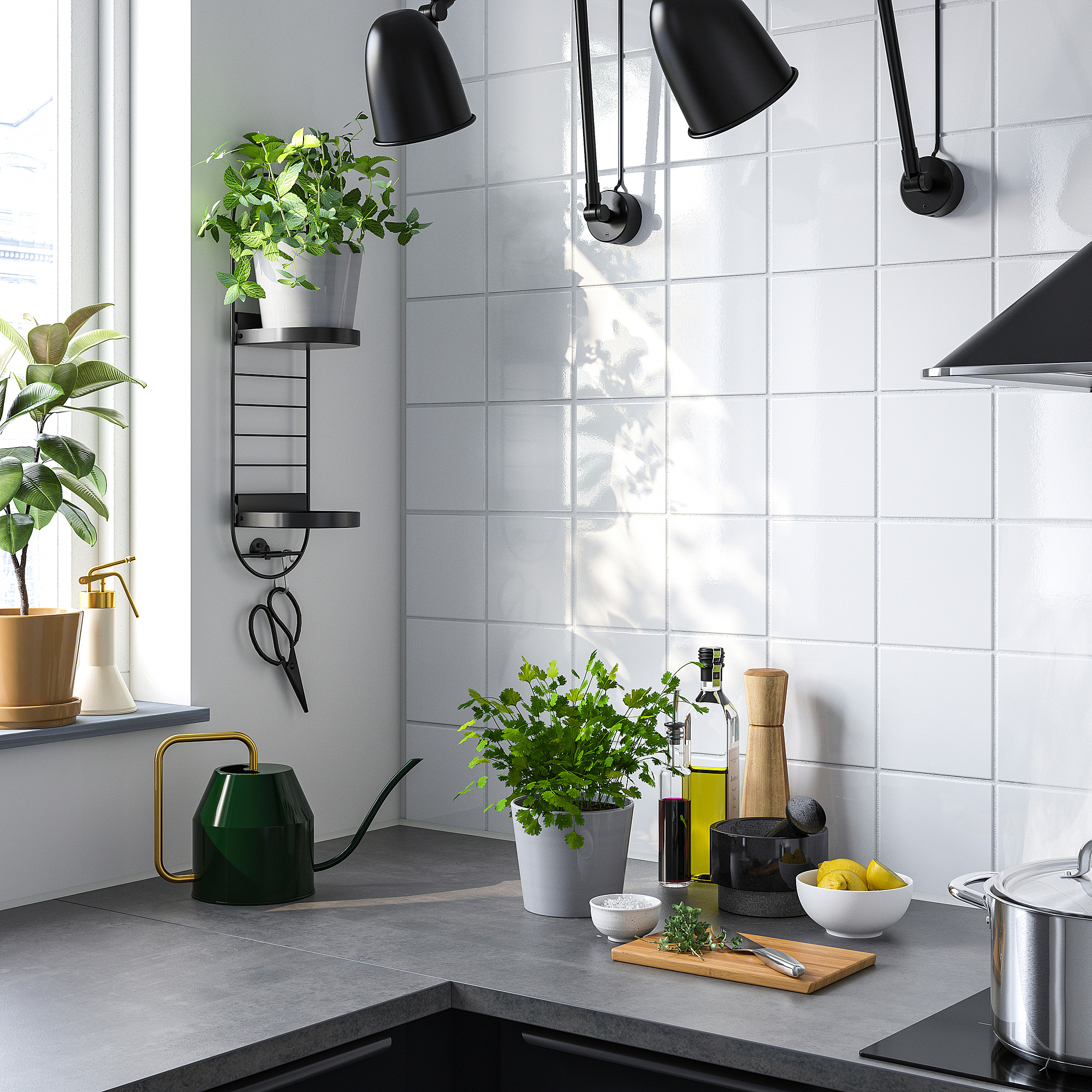 SKUGGRÖNA wall mounted plant stand