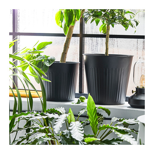 CITRONMELISS plant pot