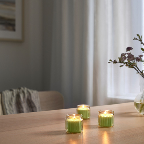 LÖVSKOGSLUND scented candle in glass